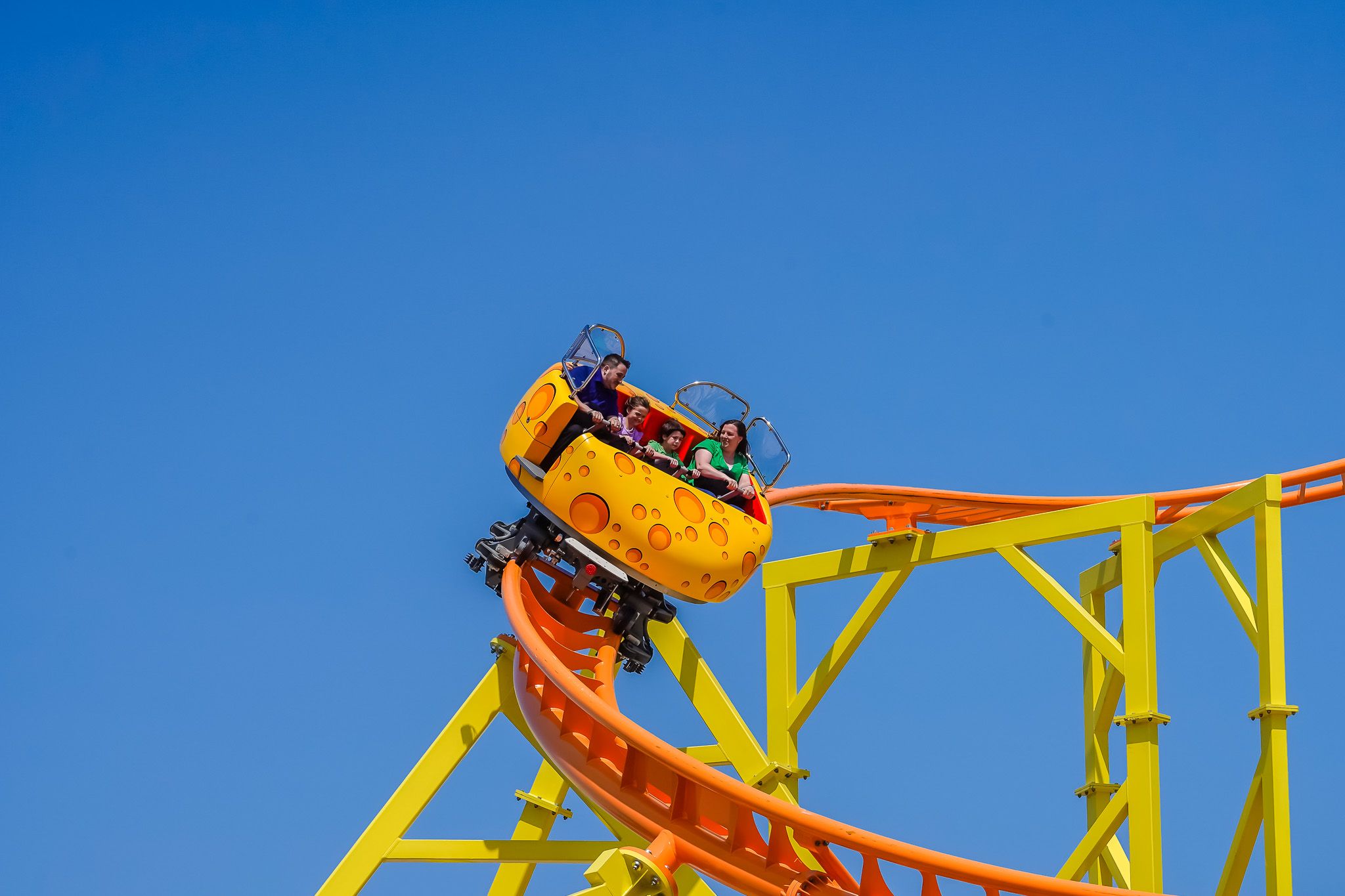 Wild Mouse