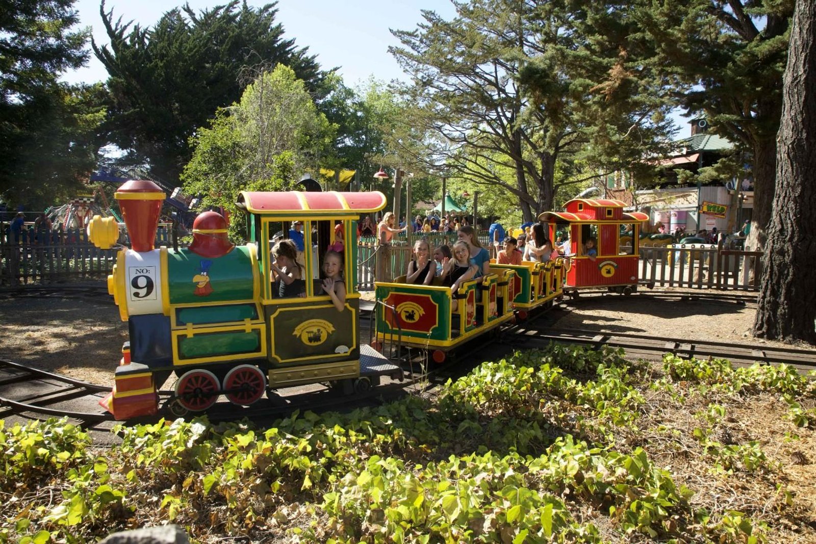 Six Flags Discovery Kingdom Seasonal Events: What to Know Before You Go at Six Flags Discovery Kingdom