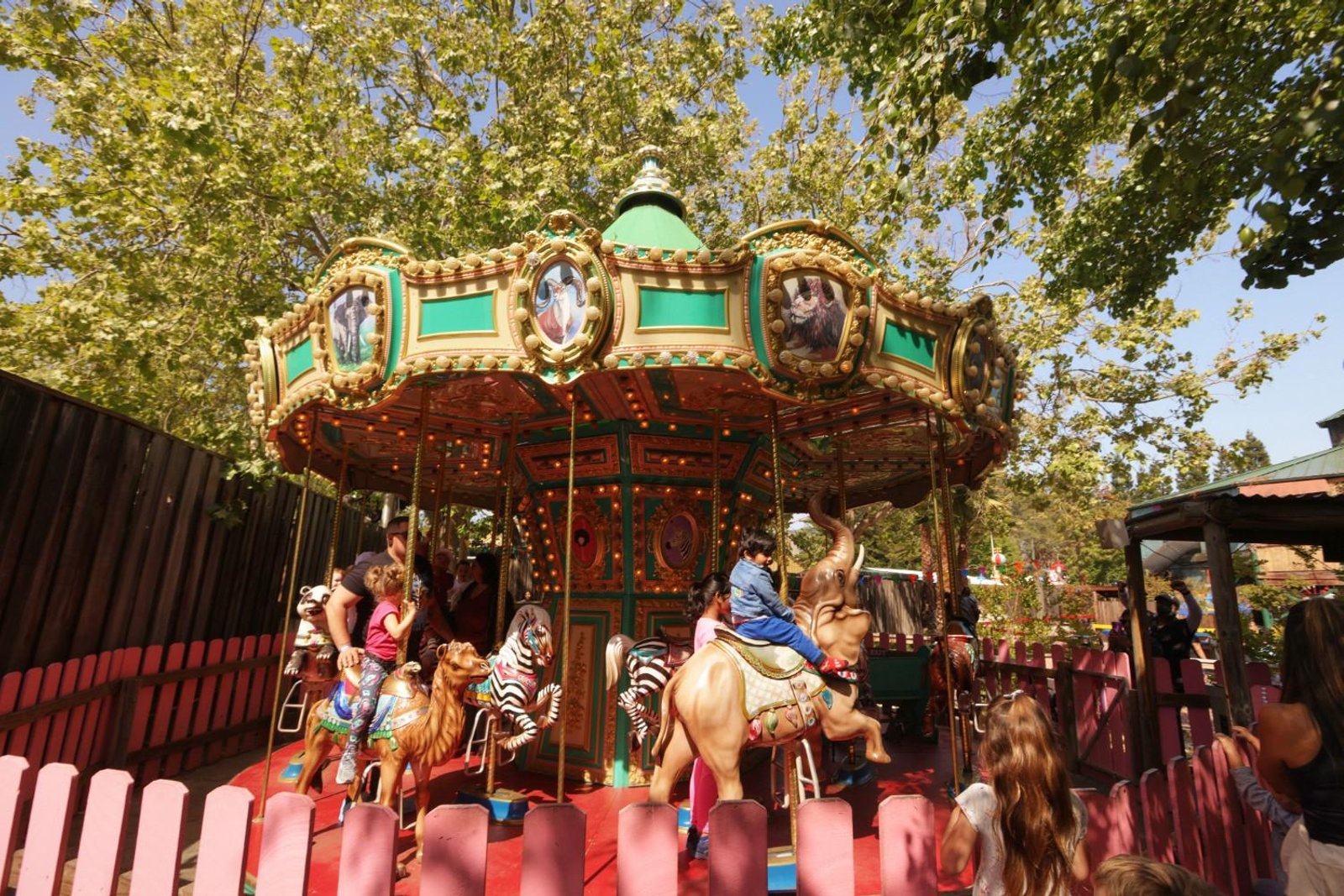Family Guide to Six Flags Discovery Kingdom: Best Rides for Kids and Parents at Six Flags Discovery Kingdom