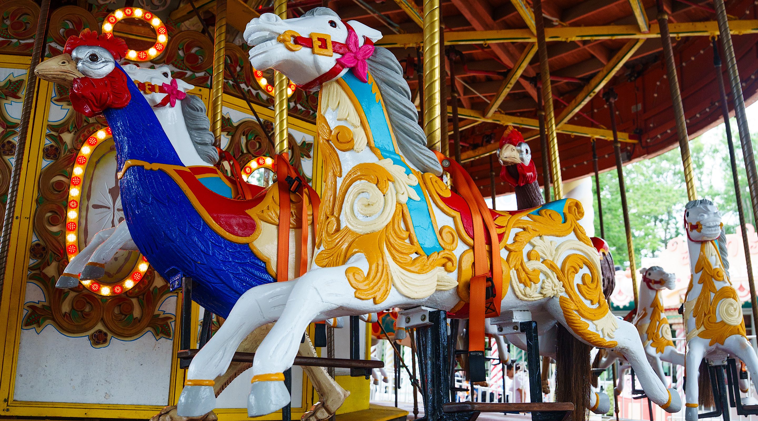 Six Flags Great Adventure - Carousel