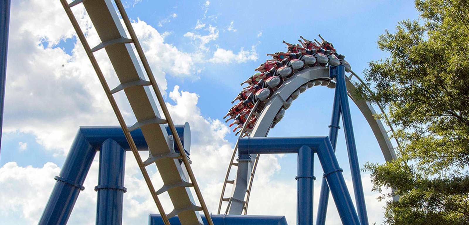 Roller Coaster Guide to Carowinds: Every Coaster Ranked at Carowinds