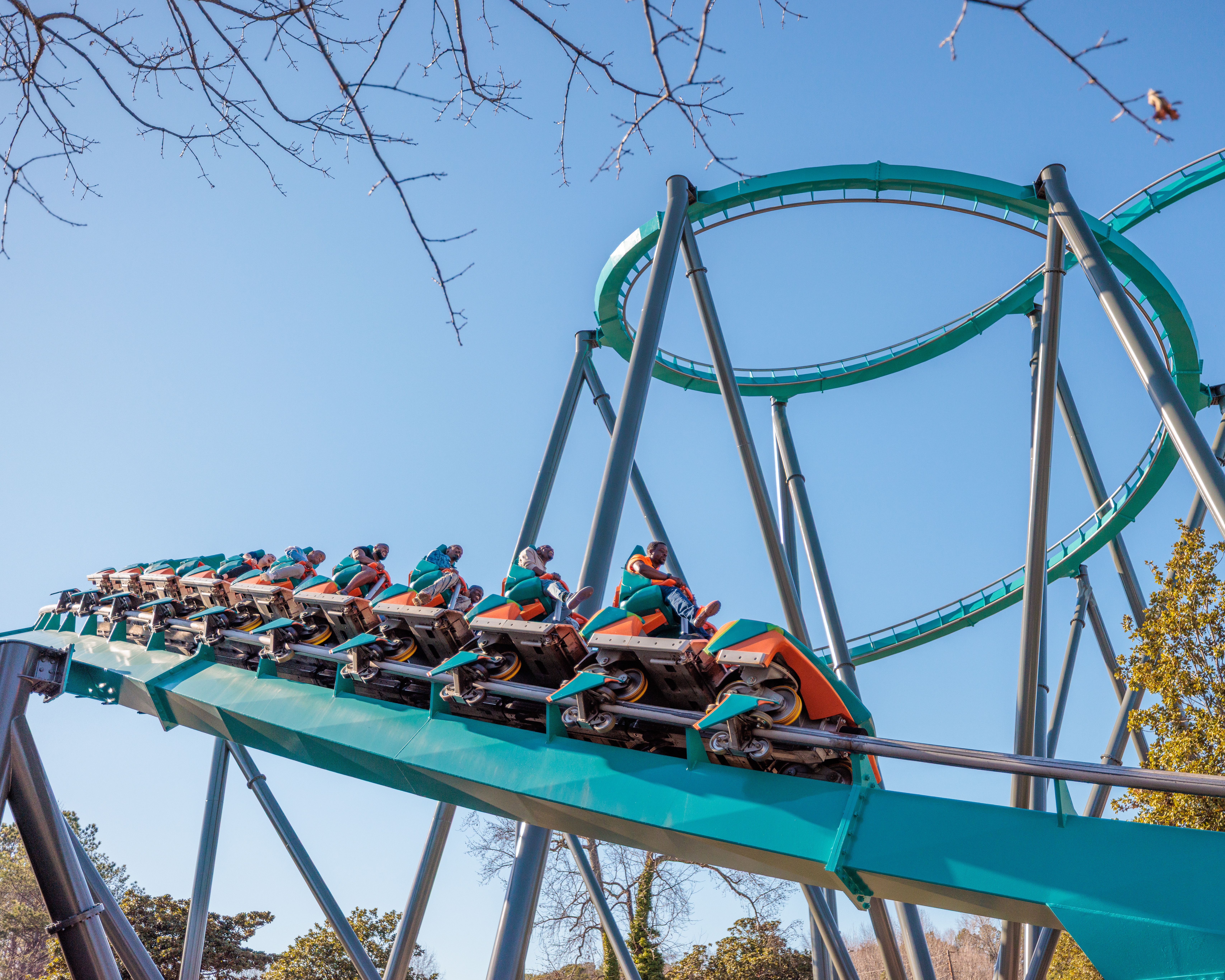 Goliath 20th Anniversary - Six Flags Over Georgia