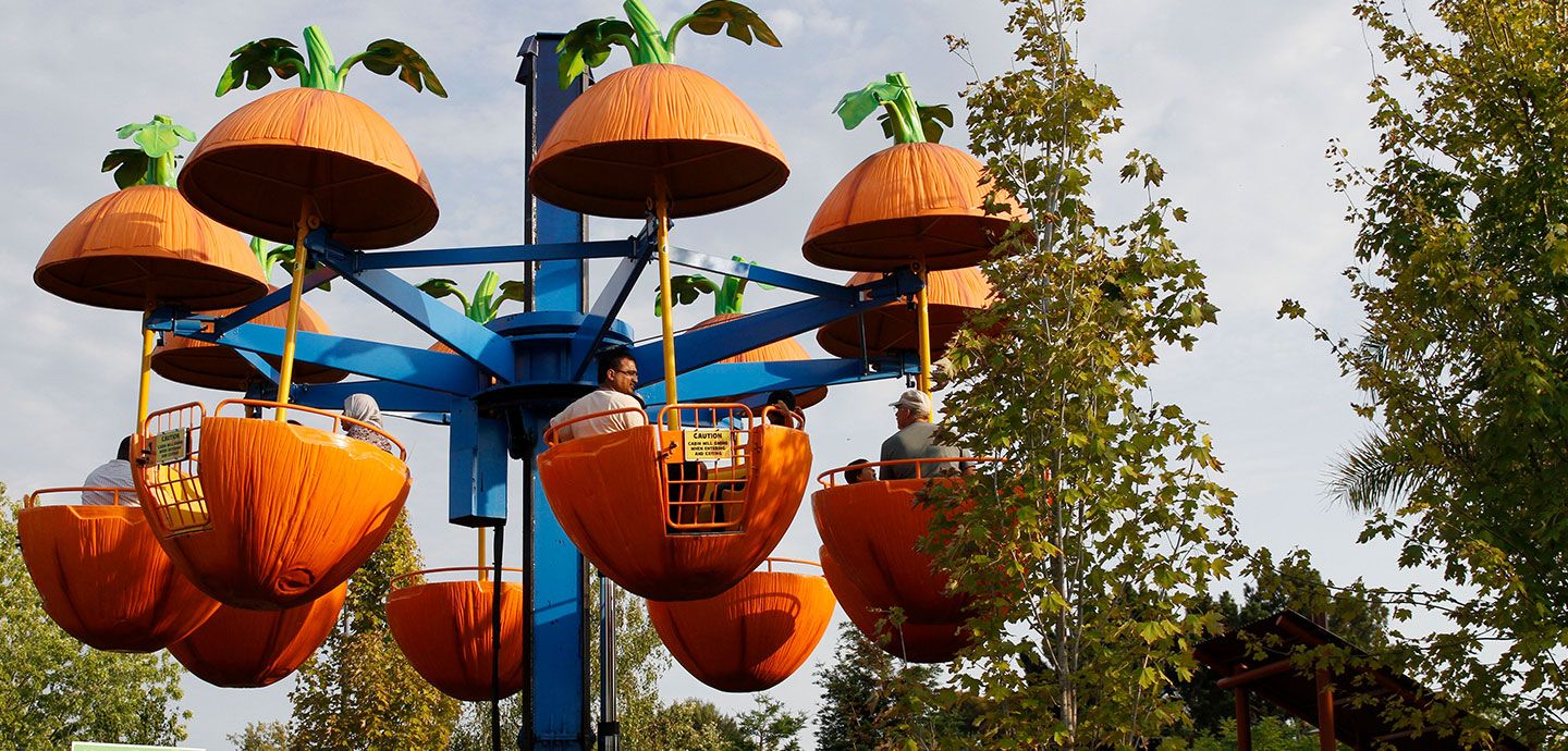 Six Flags Entertainment Corporation cover