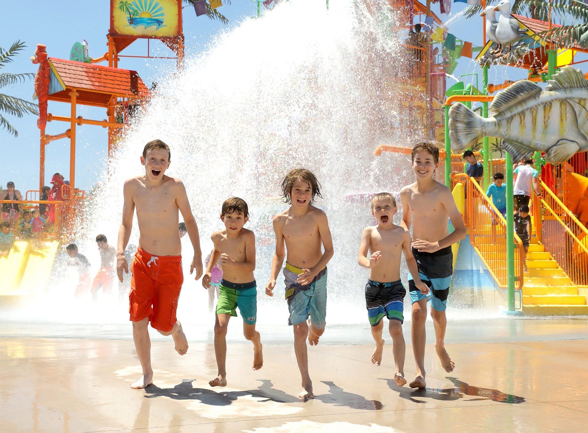 Six Flags Hurricane Harbor Concord - Media Center