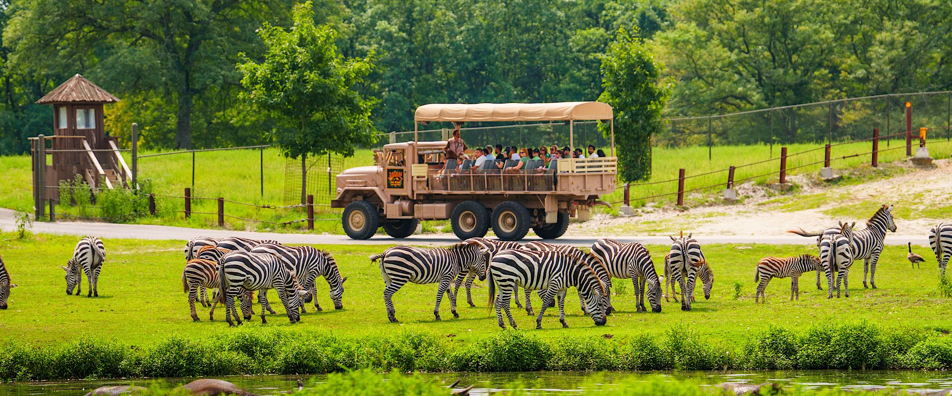 Six Flags Great Adventure - Wild Safari