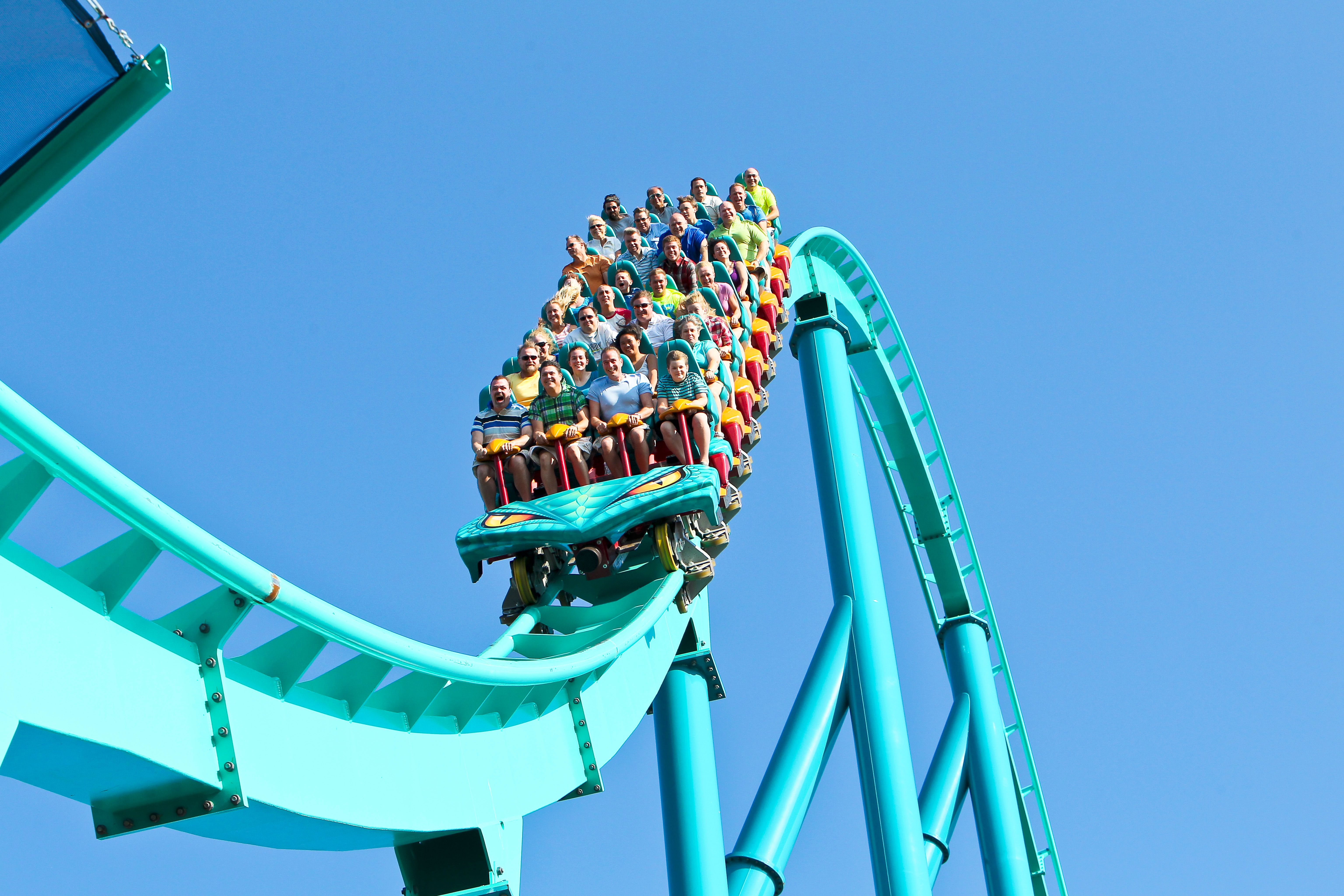 洋書 Roller Coasters Flumes and Flying Saucer 洋書 Roller Coasters