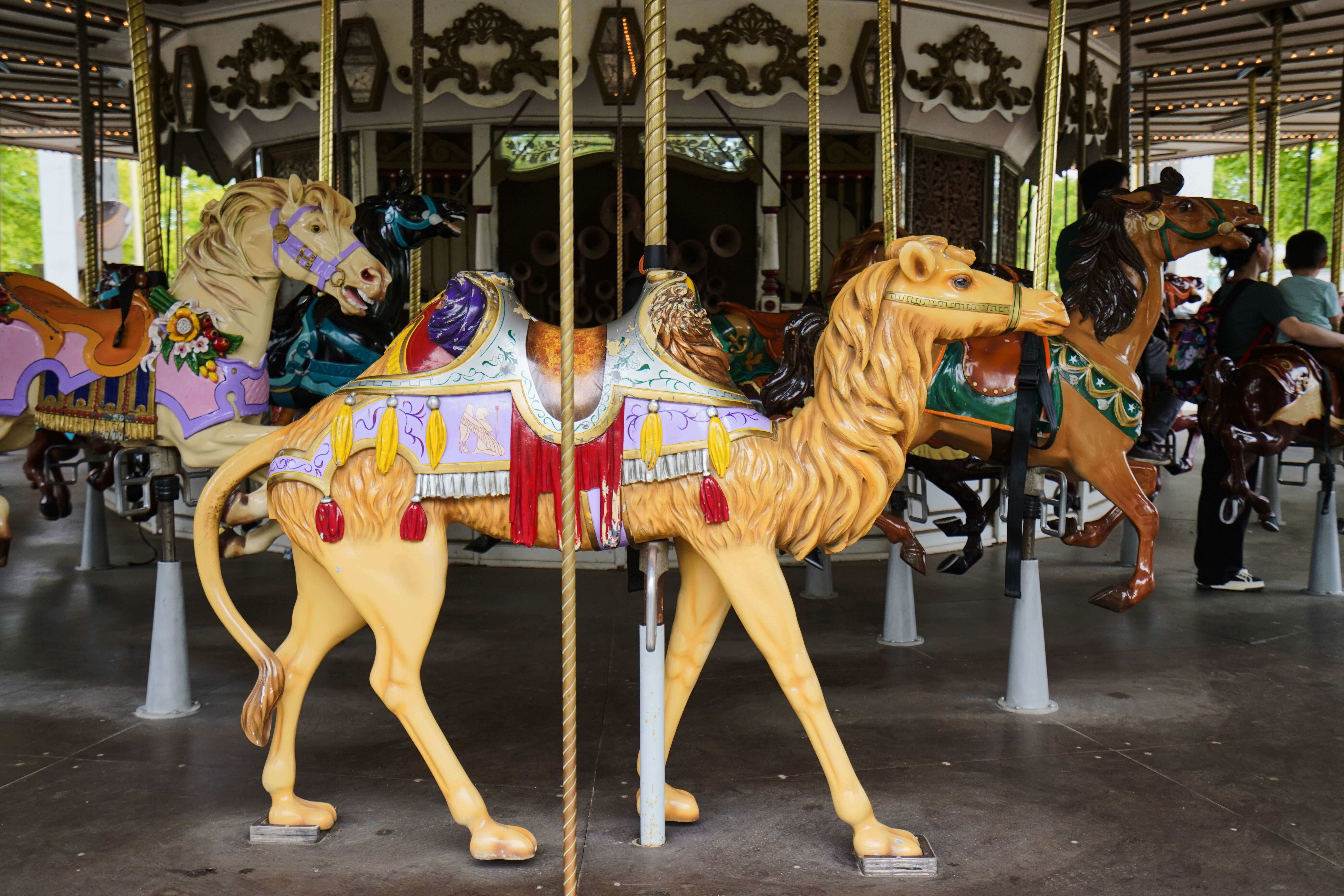Six Flags Great America - Columbia Carousel
