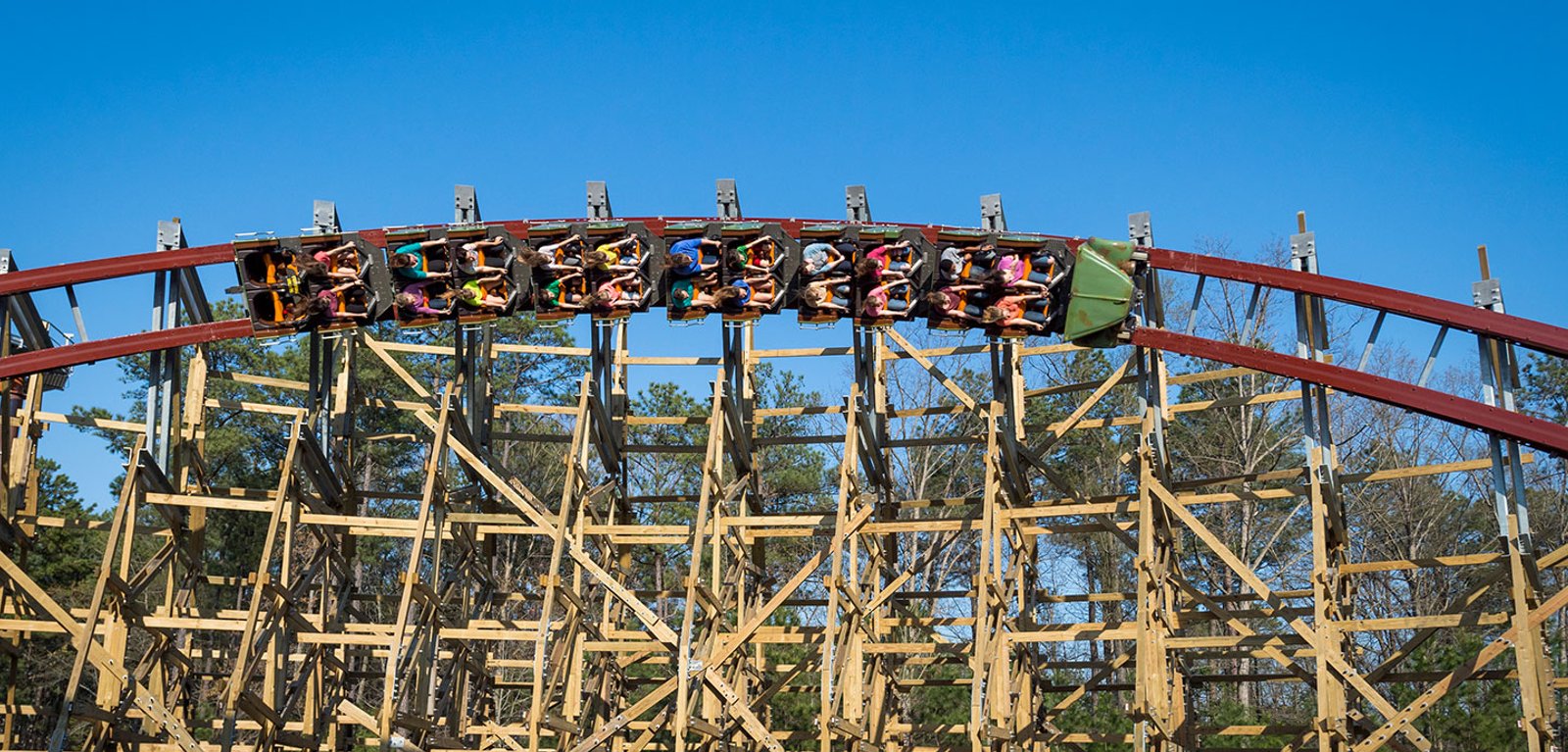 Twisted Timbers