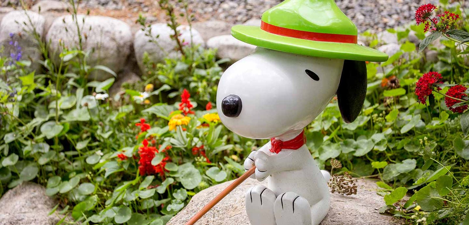 Visiting Knott's Berry Farm Solo: The Complete Strategy Guide at Knott's Berry Farm