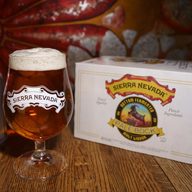 A balloon glass of Sierra Nevada Pale Bock on a table, with the can packaging in the background.