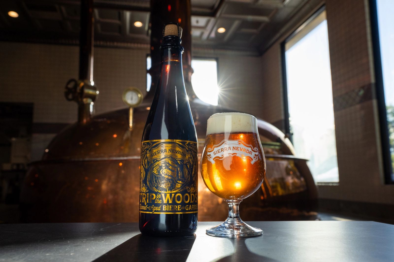 Biere de Garde bottle next to a freshly poured pint in a balloon glass