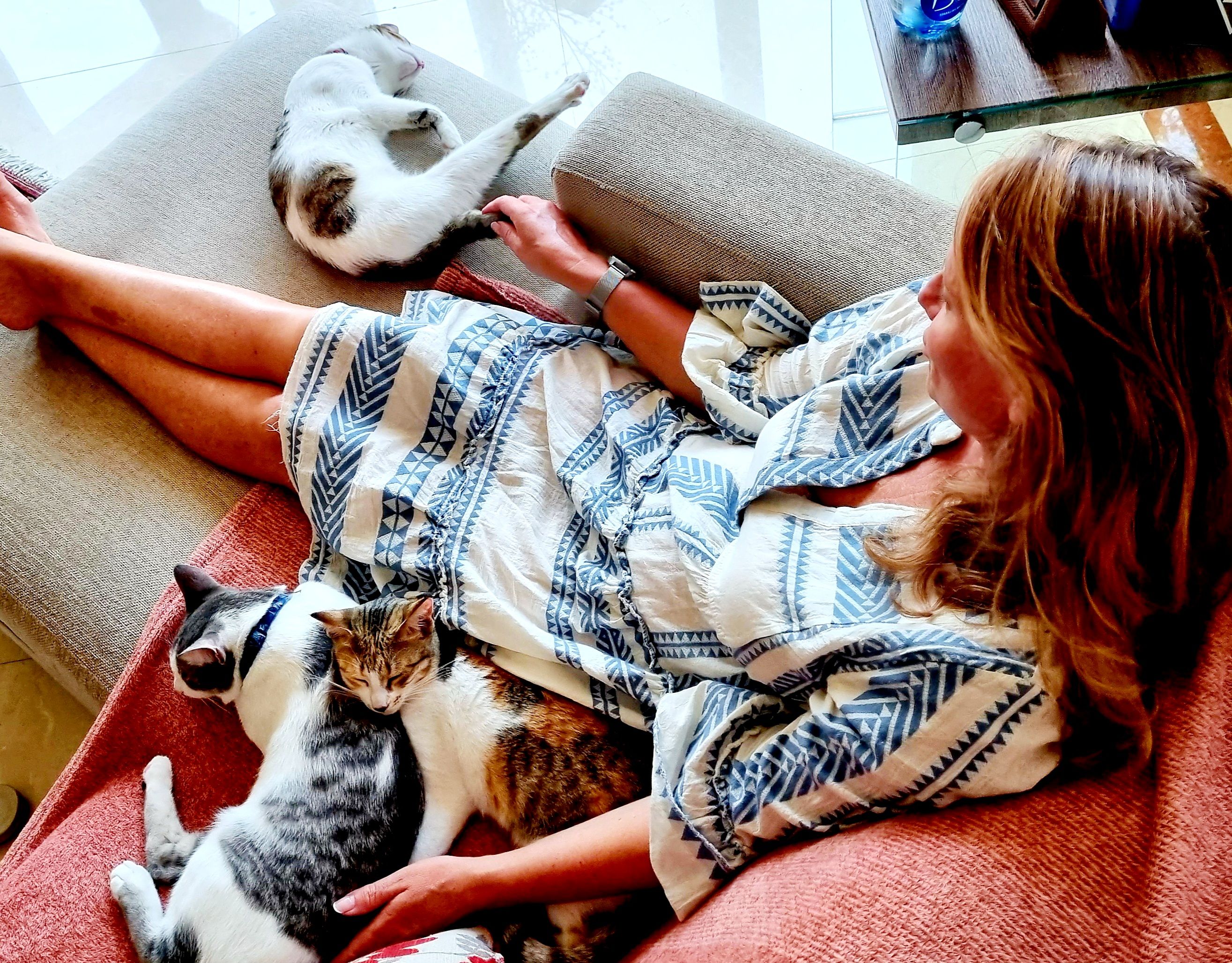 The cat consultants Dubai Lorey Harfield