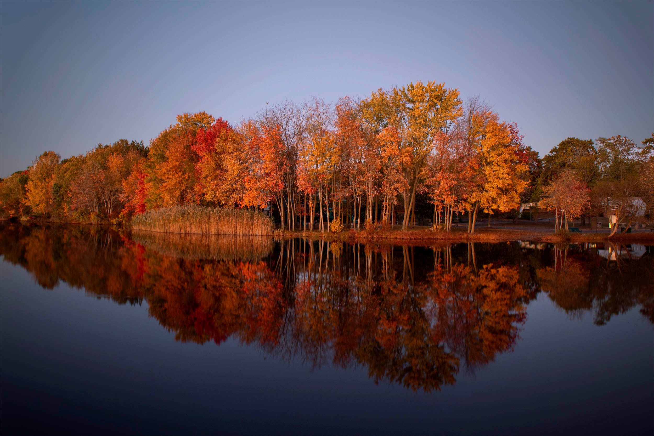 image of trees and a lake in the fall