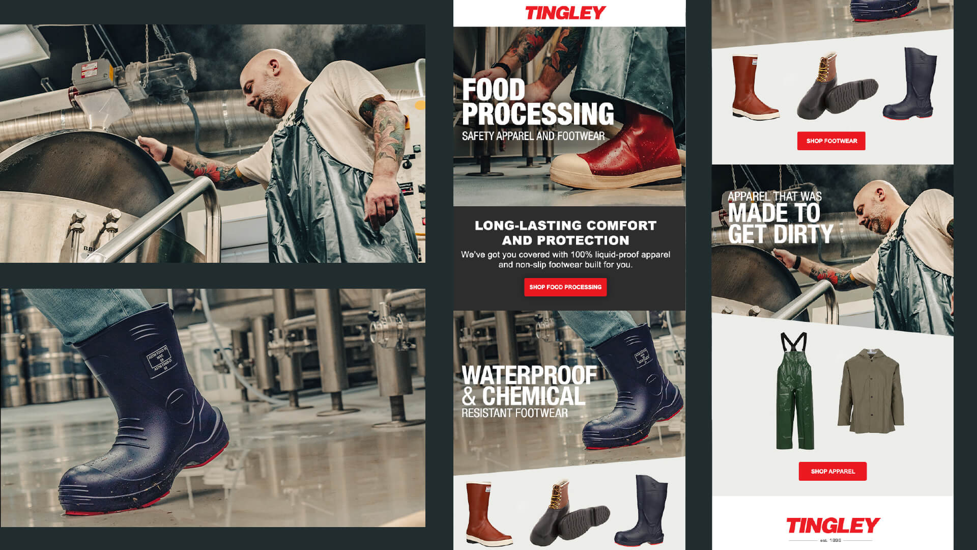 tingely food processing email design