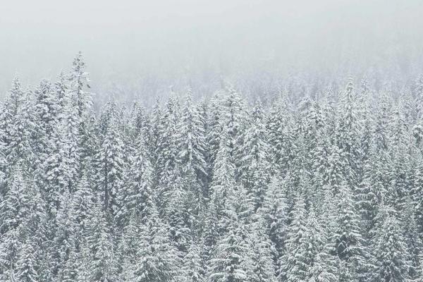 Contact Center AI Automations