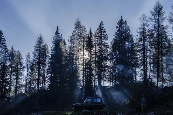 Stripe Billing Upgrades Without Downtime