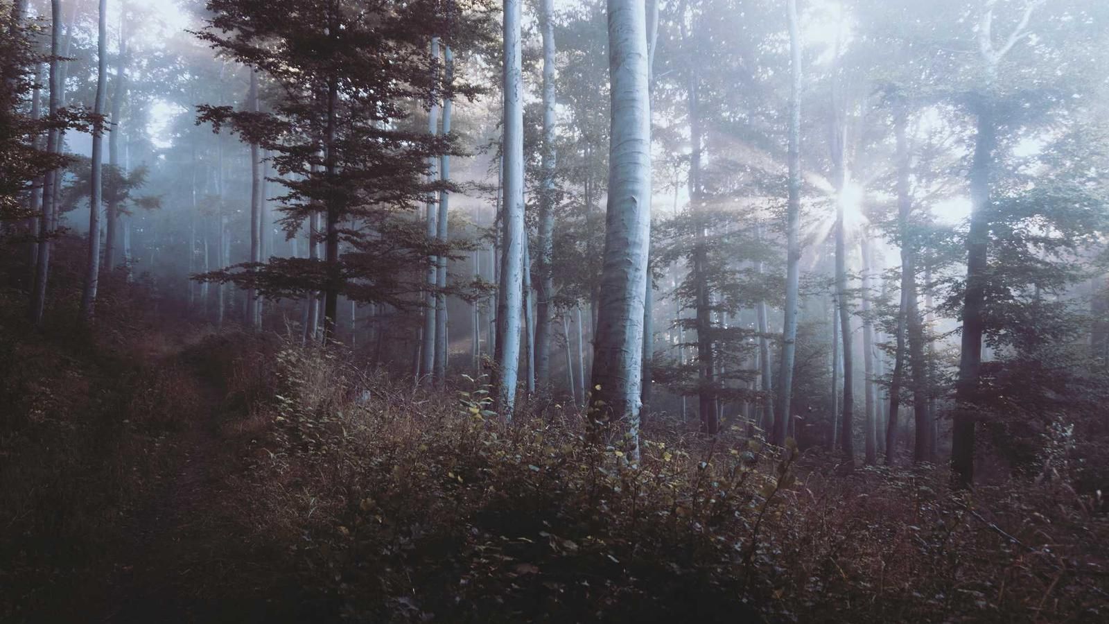 Migrating to Next.js App Router