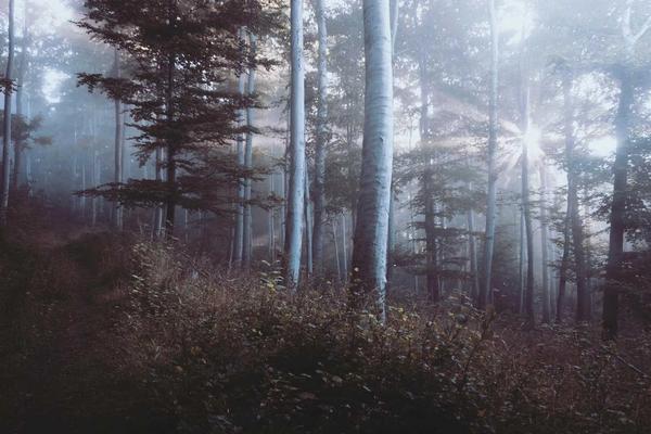 Migrating to Next.js App Router