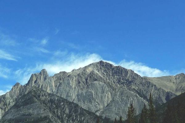 Google Ads Revenue Playbook for SaaS