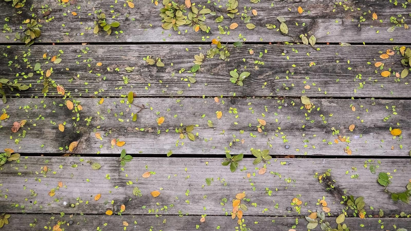 Plaid Onboarding UX That Converts