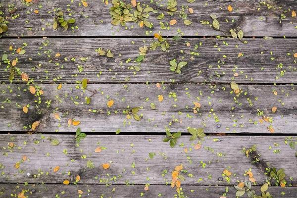 Plaid Onboarding UX That Converts