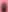 Blush Roder