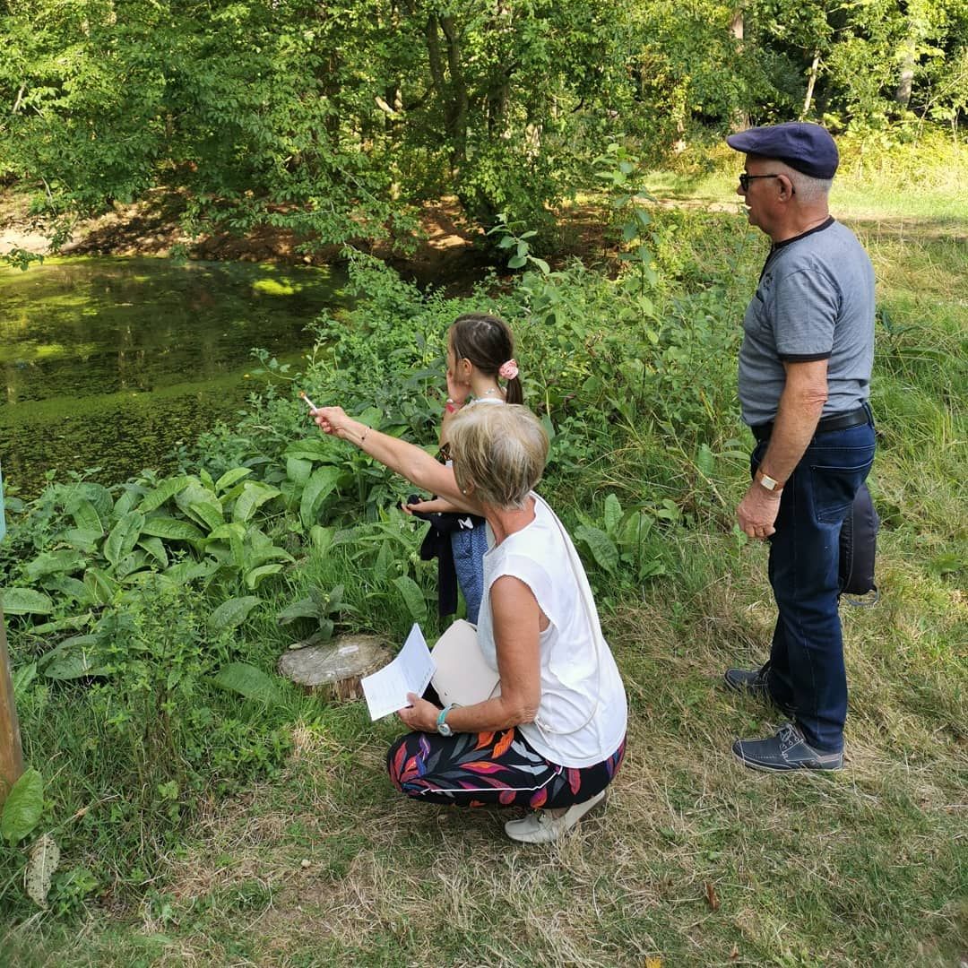 Castle + Adventure Course Package