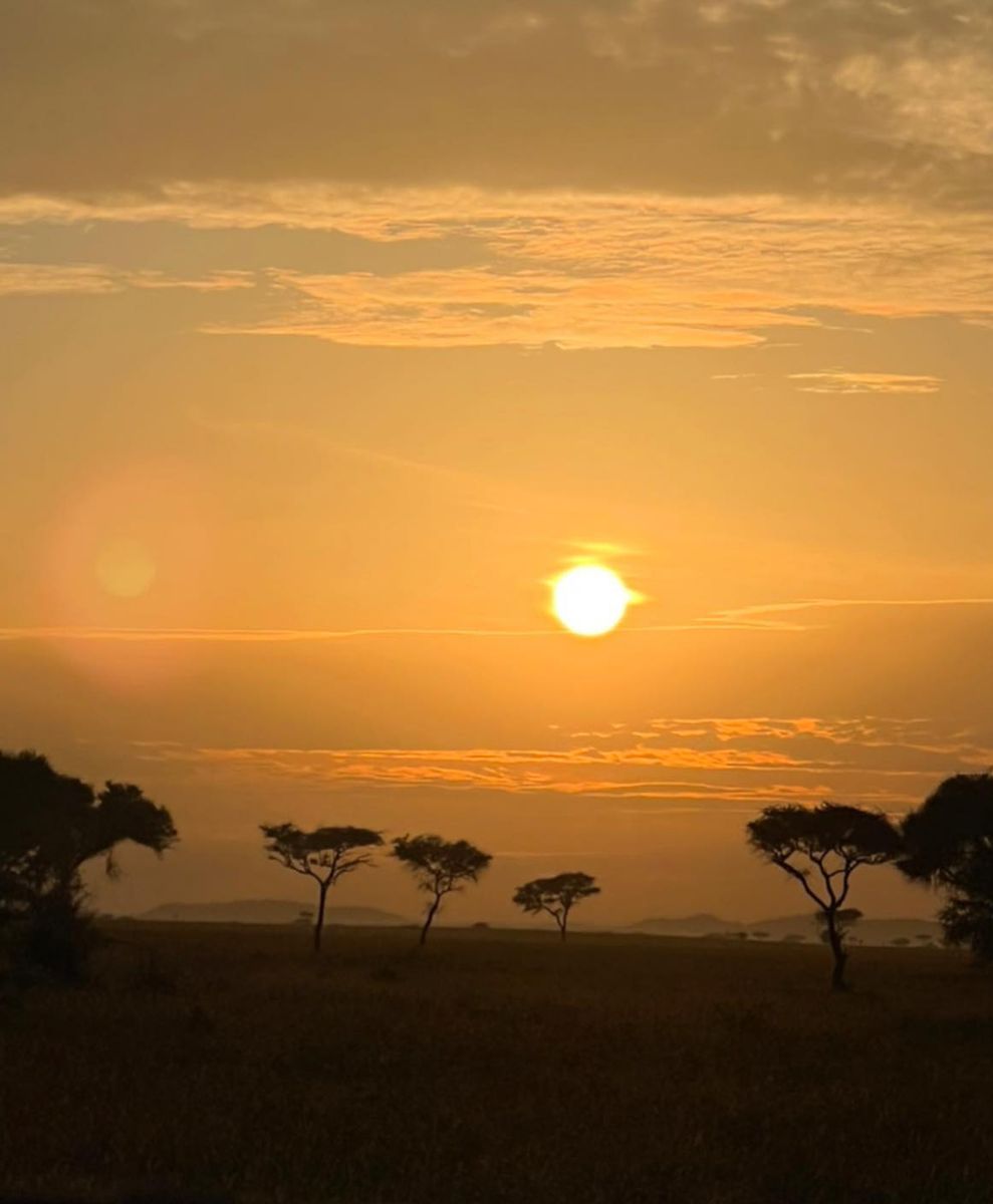 No alt text has been provided for this image