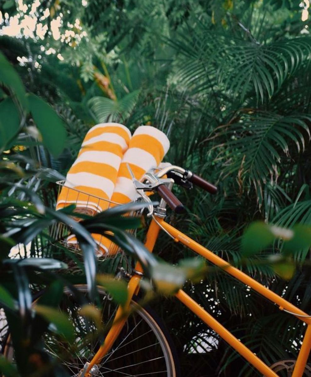 No alt text has been provided for this image