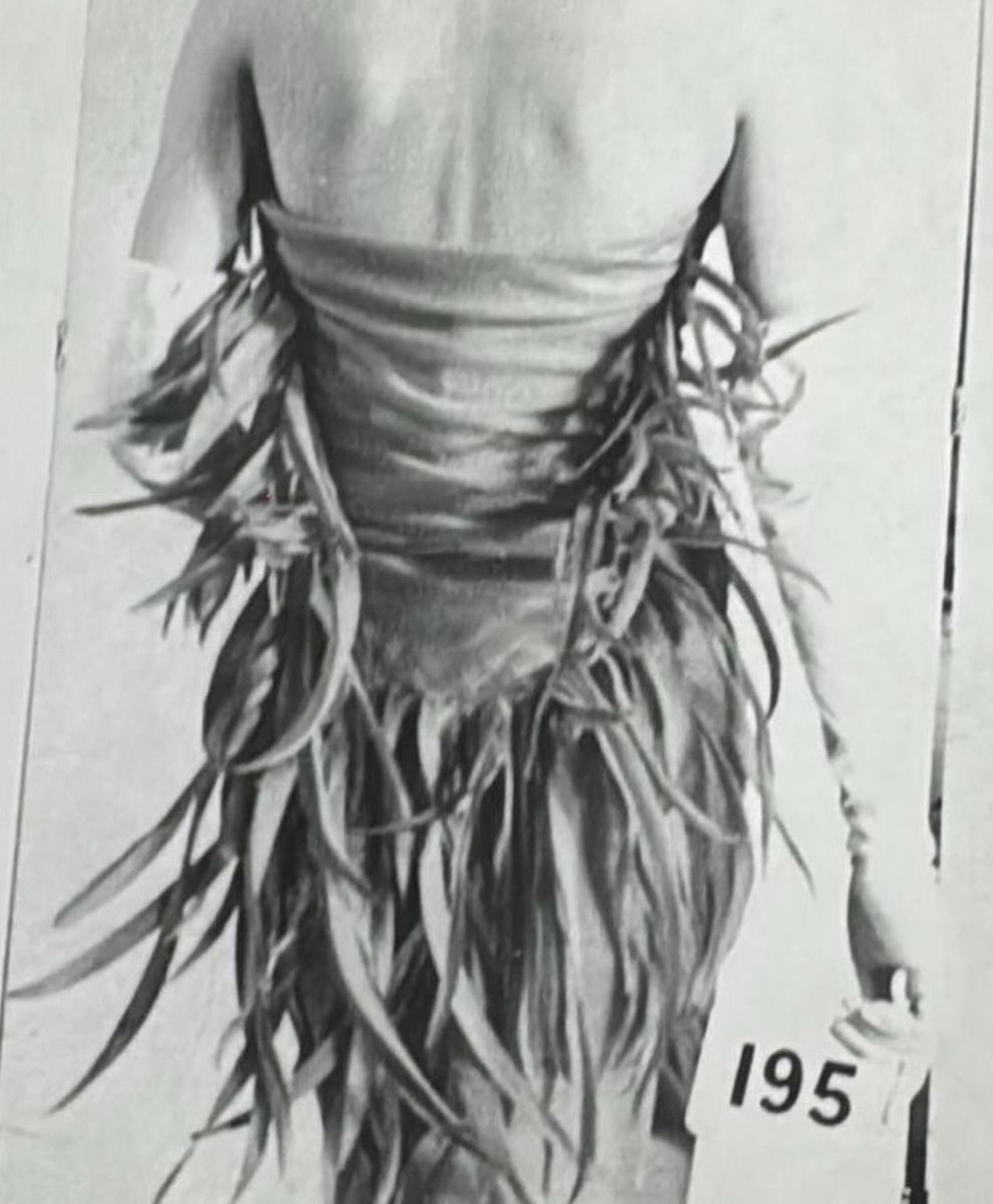 No alt text has been provided for this image