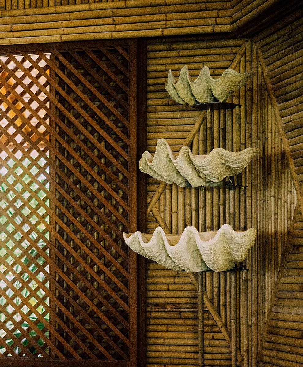 No alt text has been provided for this image