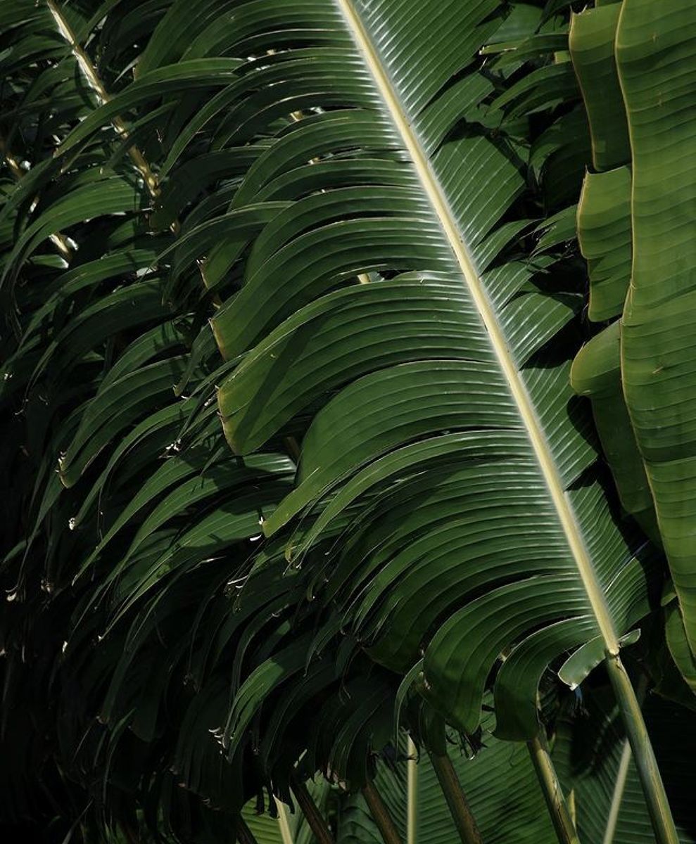 No alt text has been provided for this image