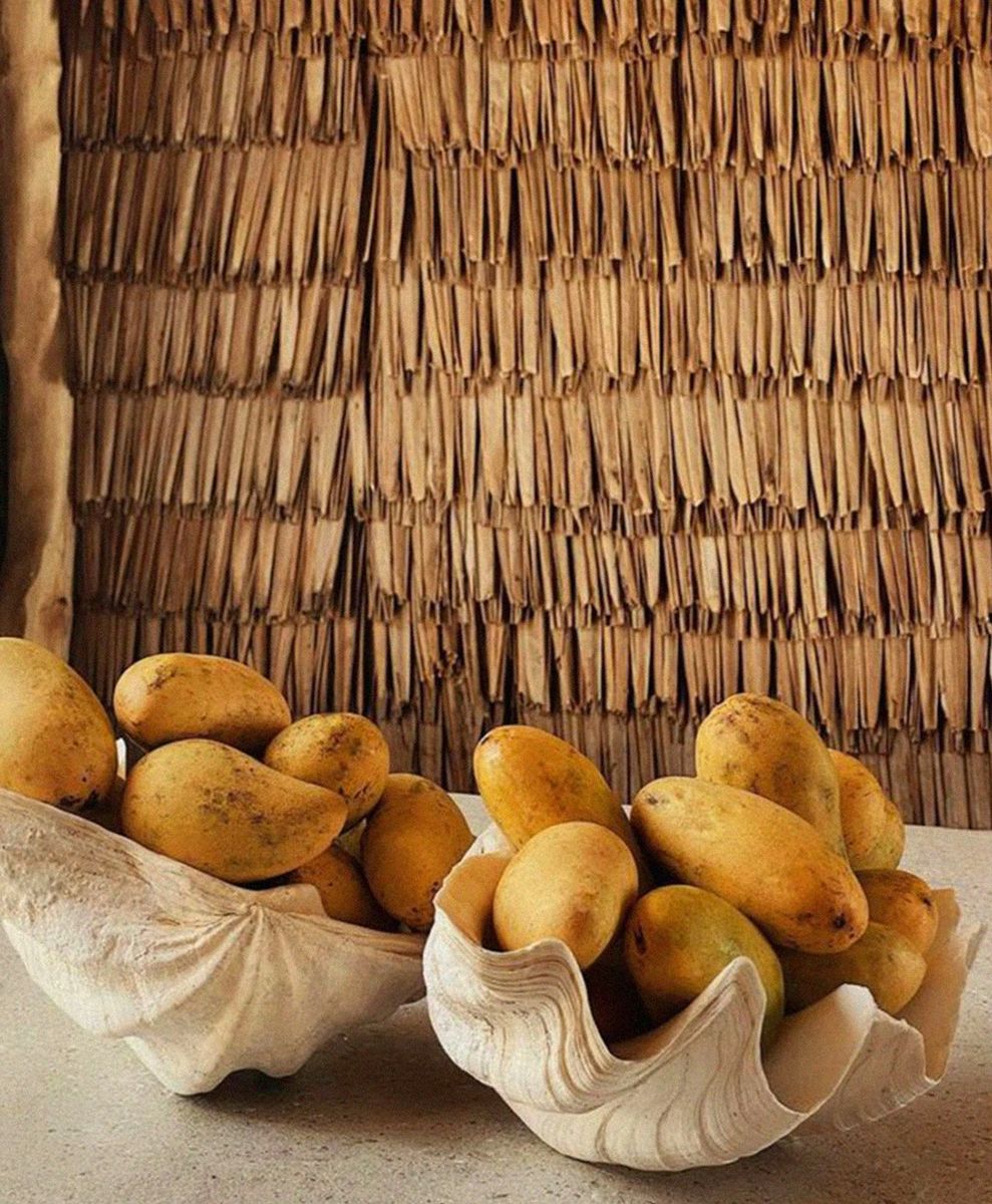 No alt text has been provided for this image