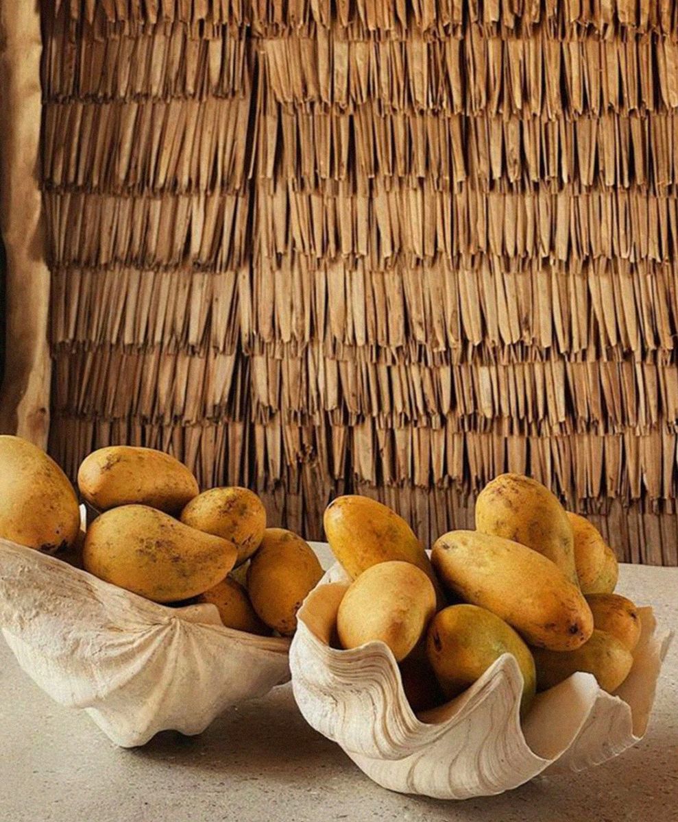 No alt text has been provided for this image