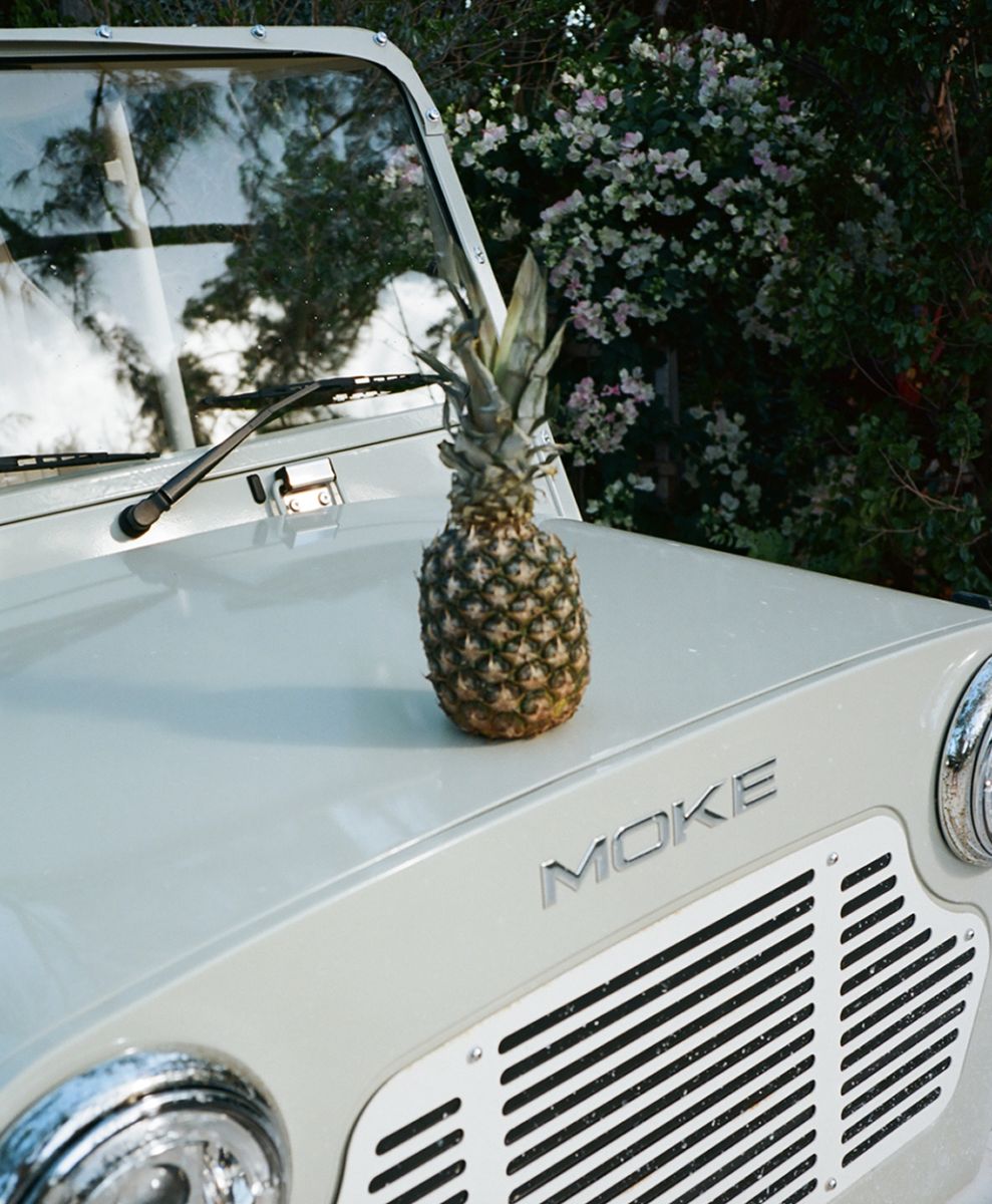 No alt text has been provided for this image