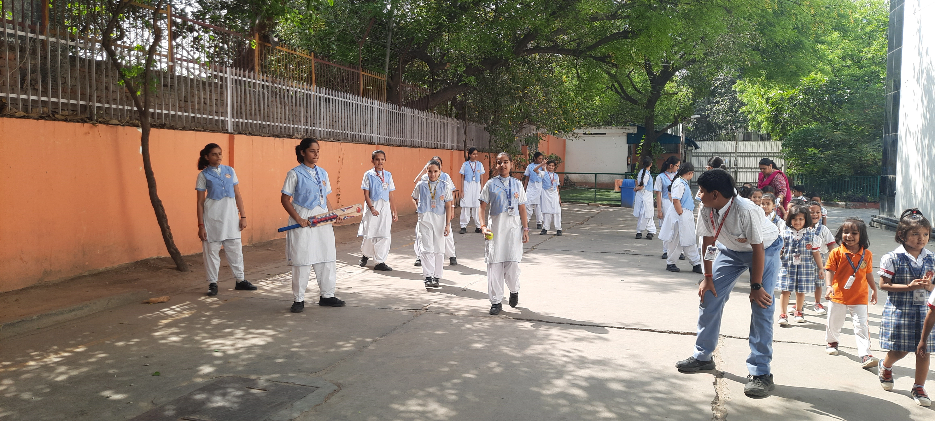Grade 7: Street Cricket English Activity photo