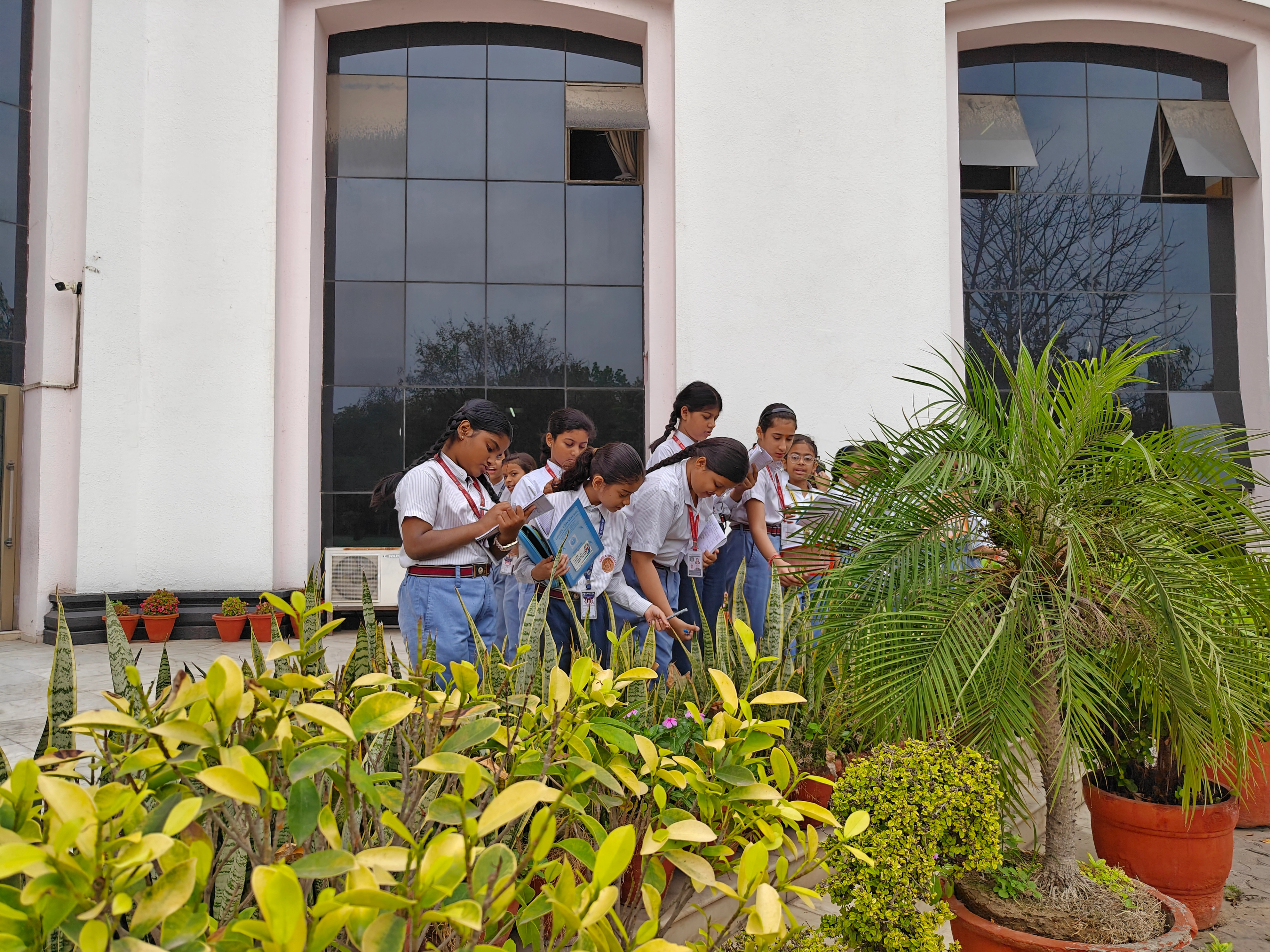 Grade 6 : Science Explorer Nature Walk Activity photo