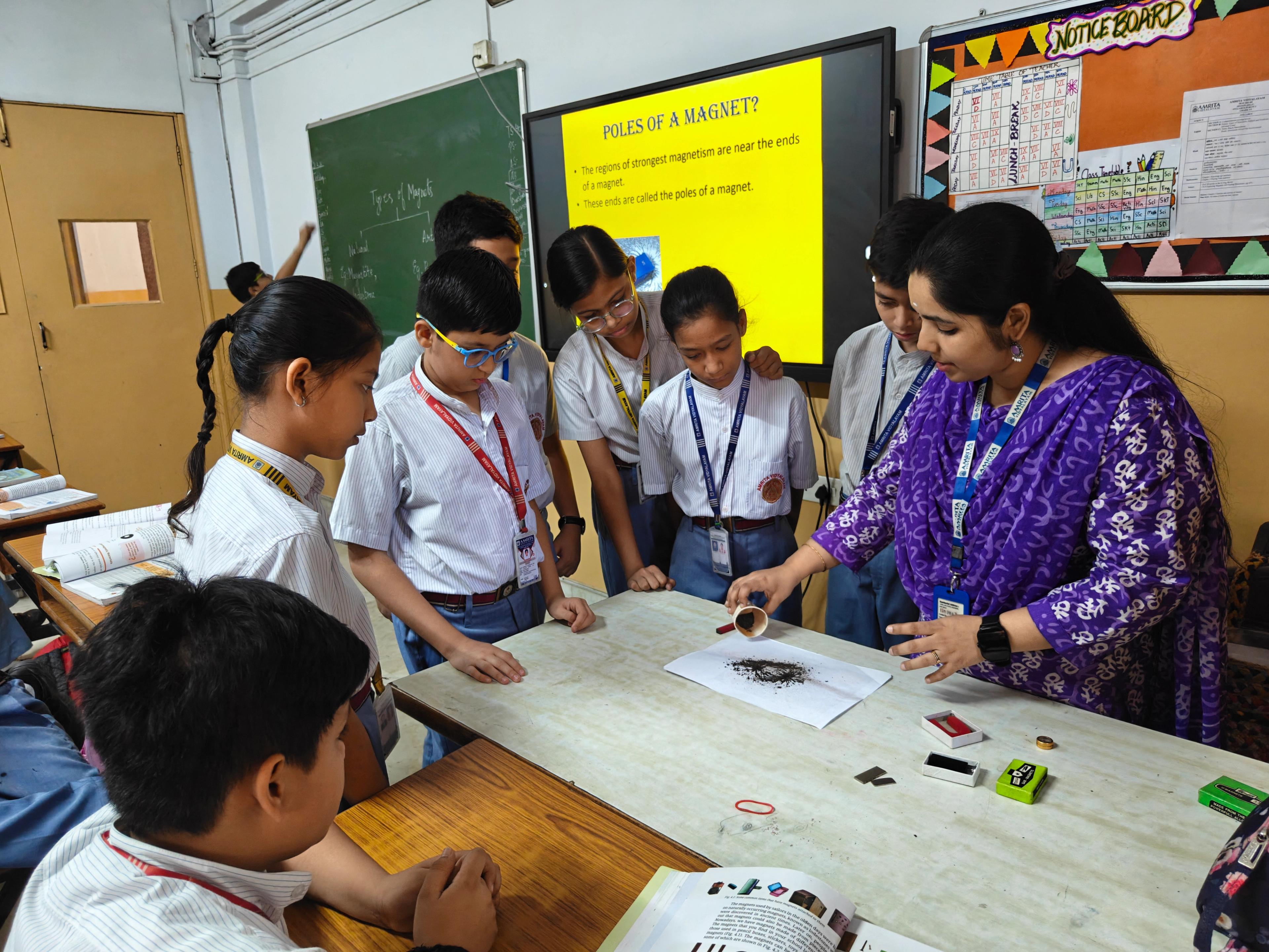Grade 6 Magmetic Field -Invisible forces made visible Activity photo