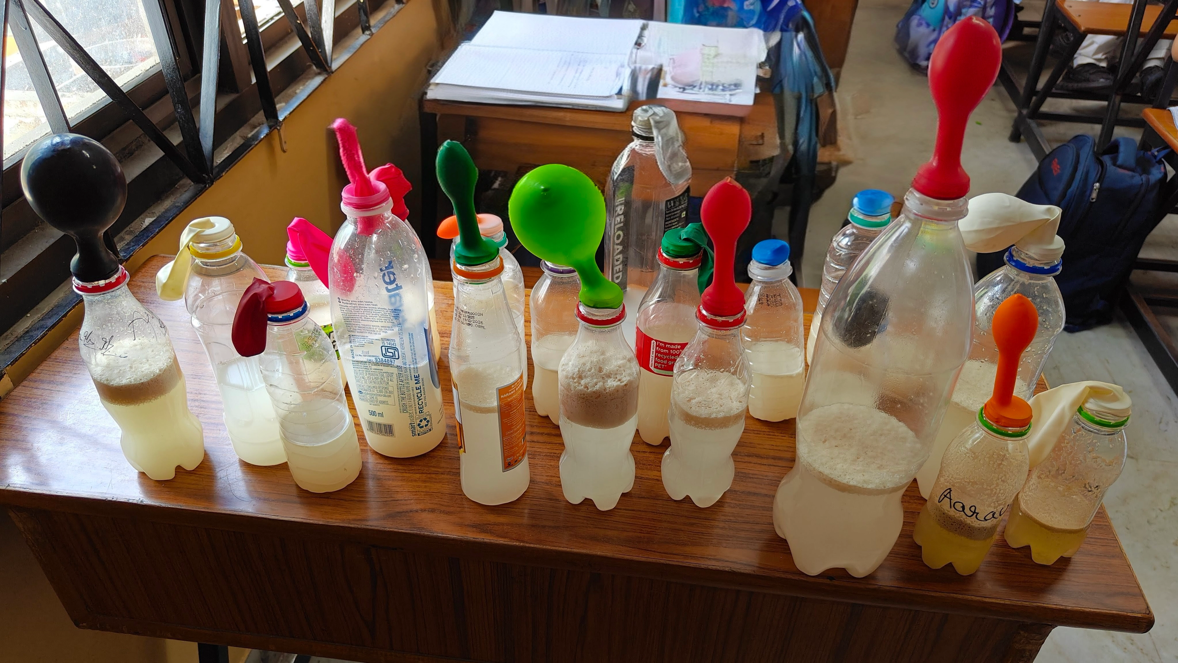 Grade 6: Fermentation fun Science Activity photo