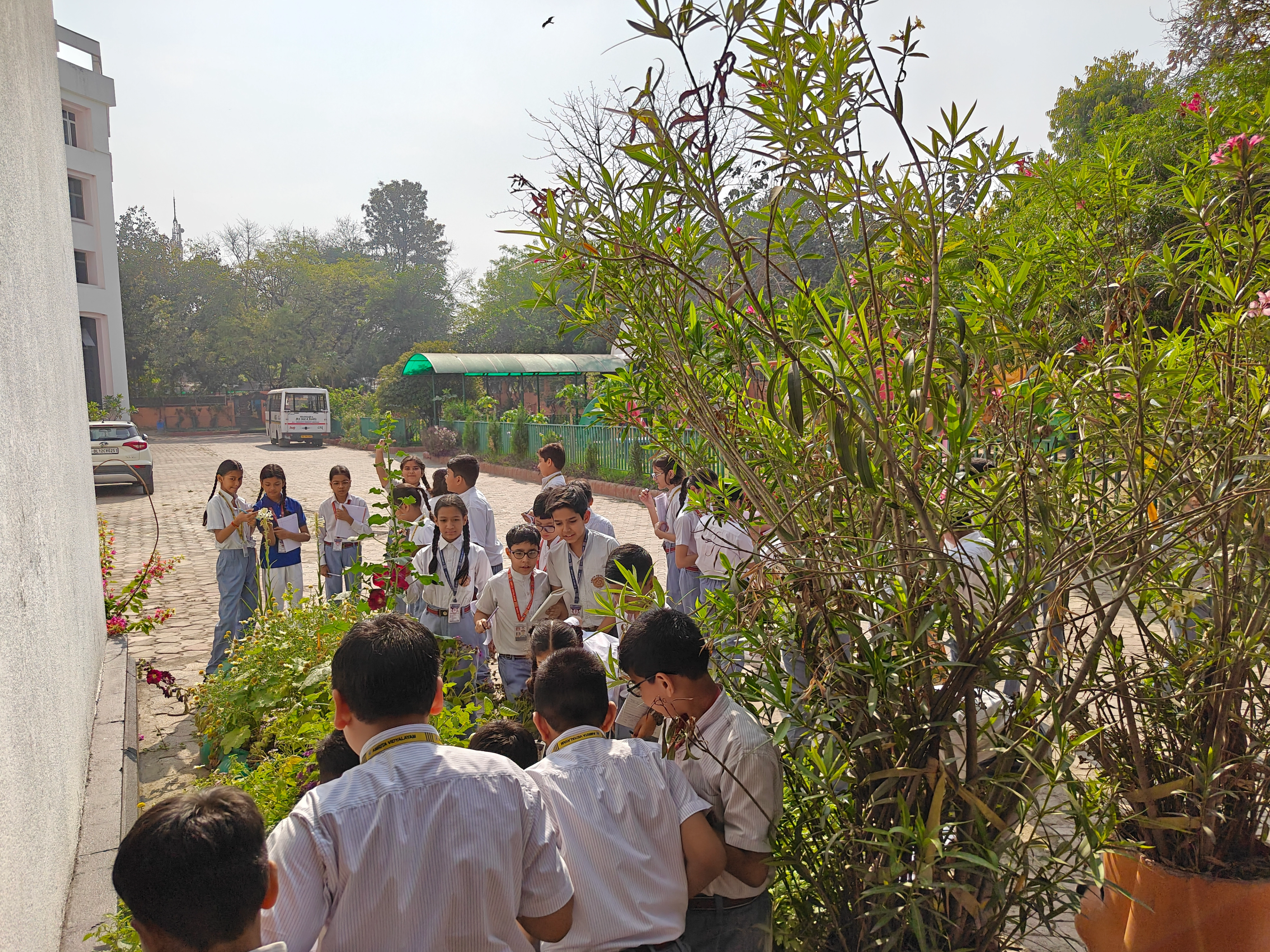 Grade 6 : Science Explorer Nature Walk Activity photo