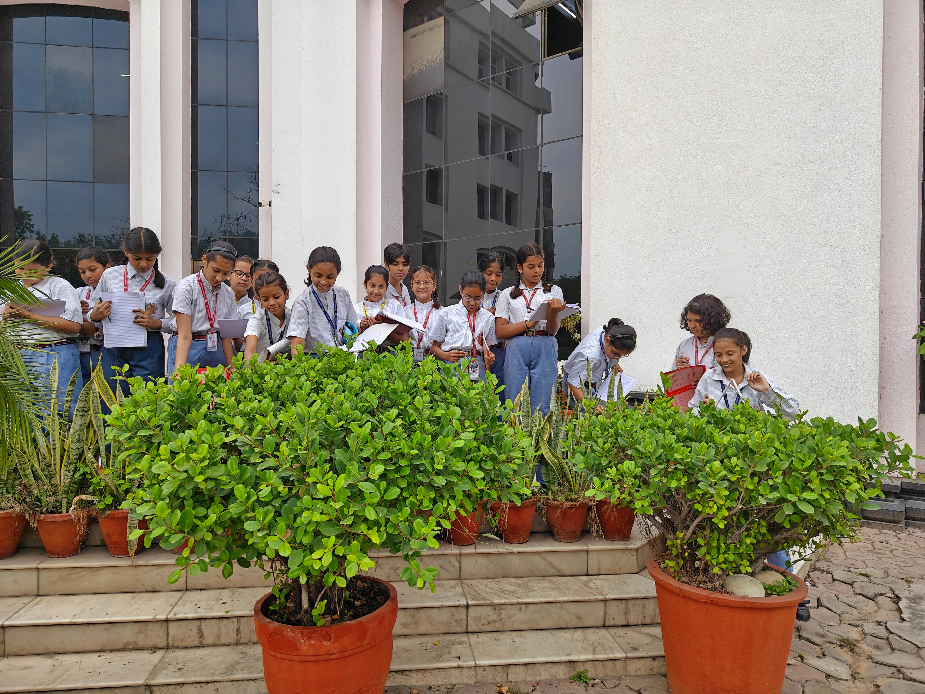 Grade 6 : Science Explorer Nature Walk Activity photo