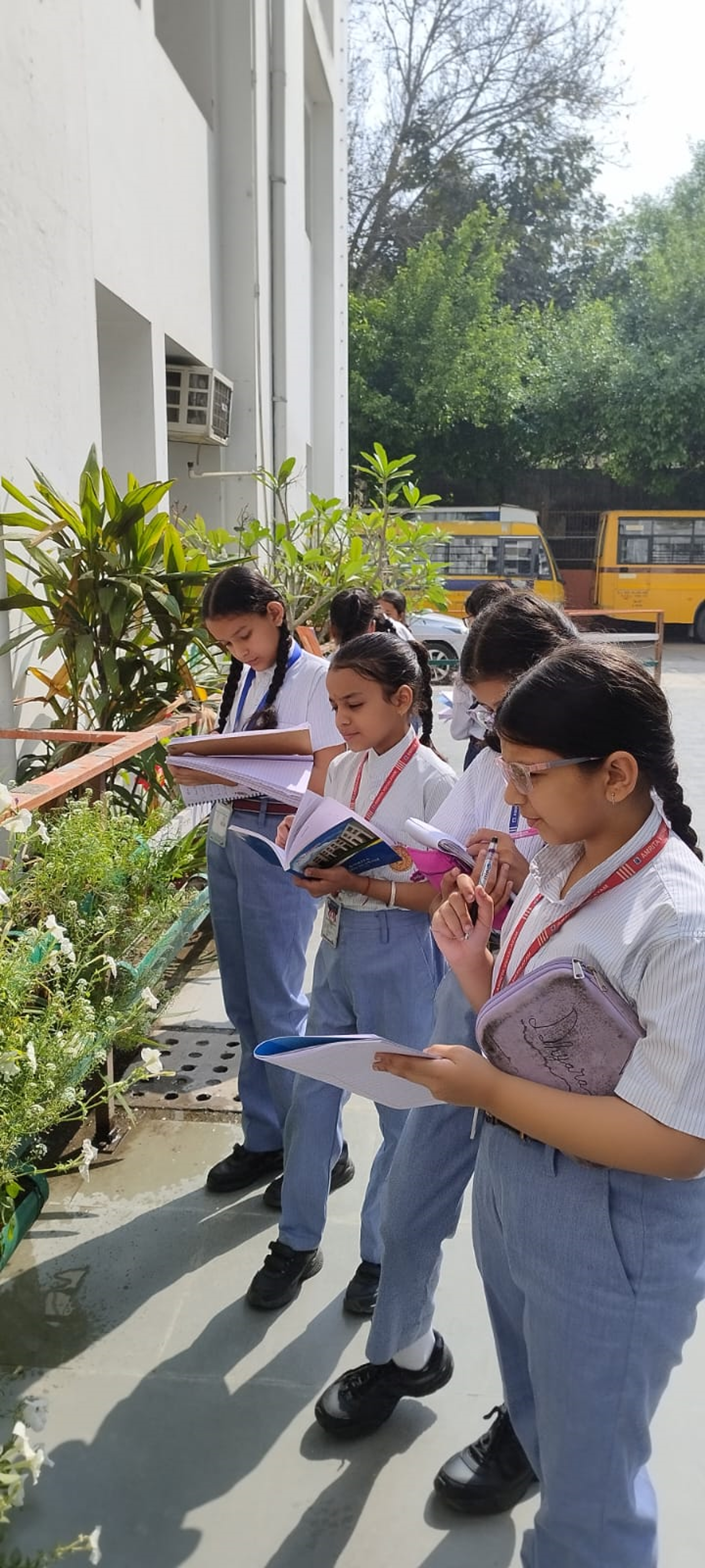 Grade 6 : Science Explorer Nature Walk Activity photo