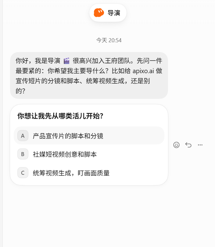 The newly created “导演” (Director) Bot asks in chat what work it should own.