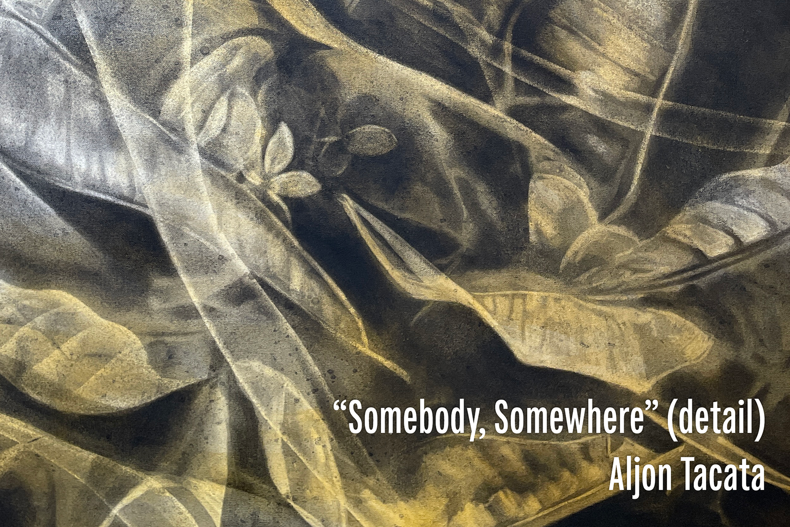 Detail of drawing by Aljon Tacata depicting leaves and flowers in shades of yellow, white, gray, and black.