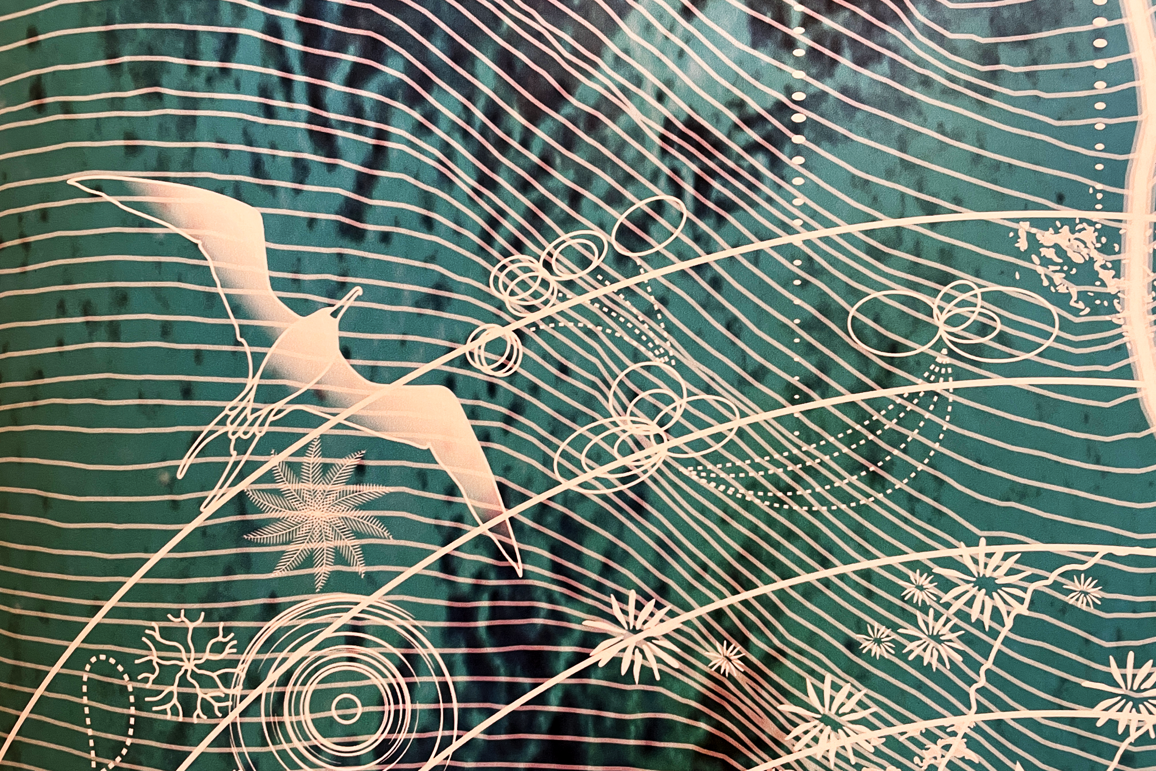 Detail of artwork with drawing of sea bird and marine animals