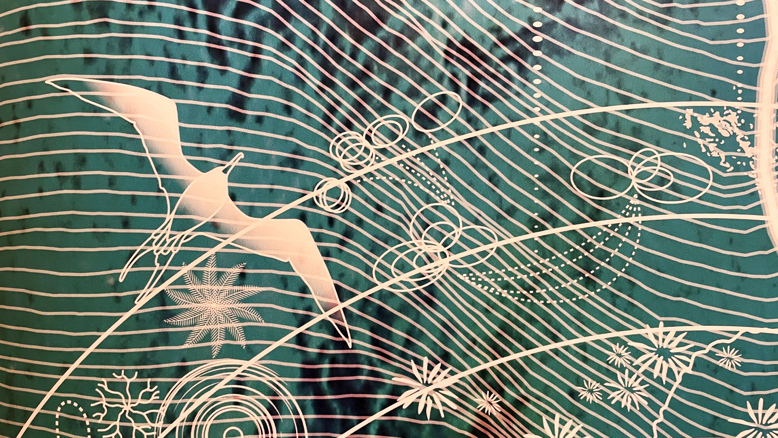 Detail of artwork with drawing of sea bird and marine animals
