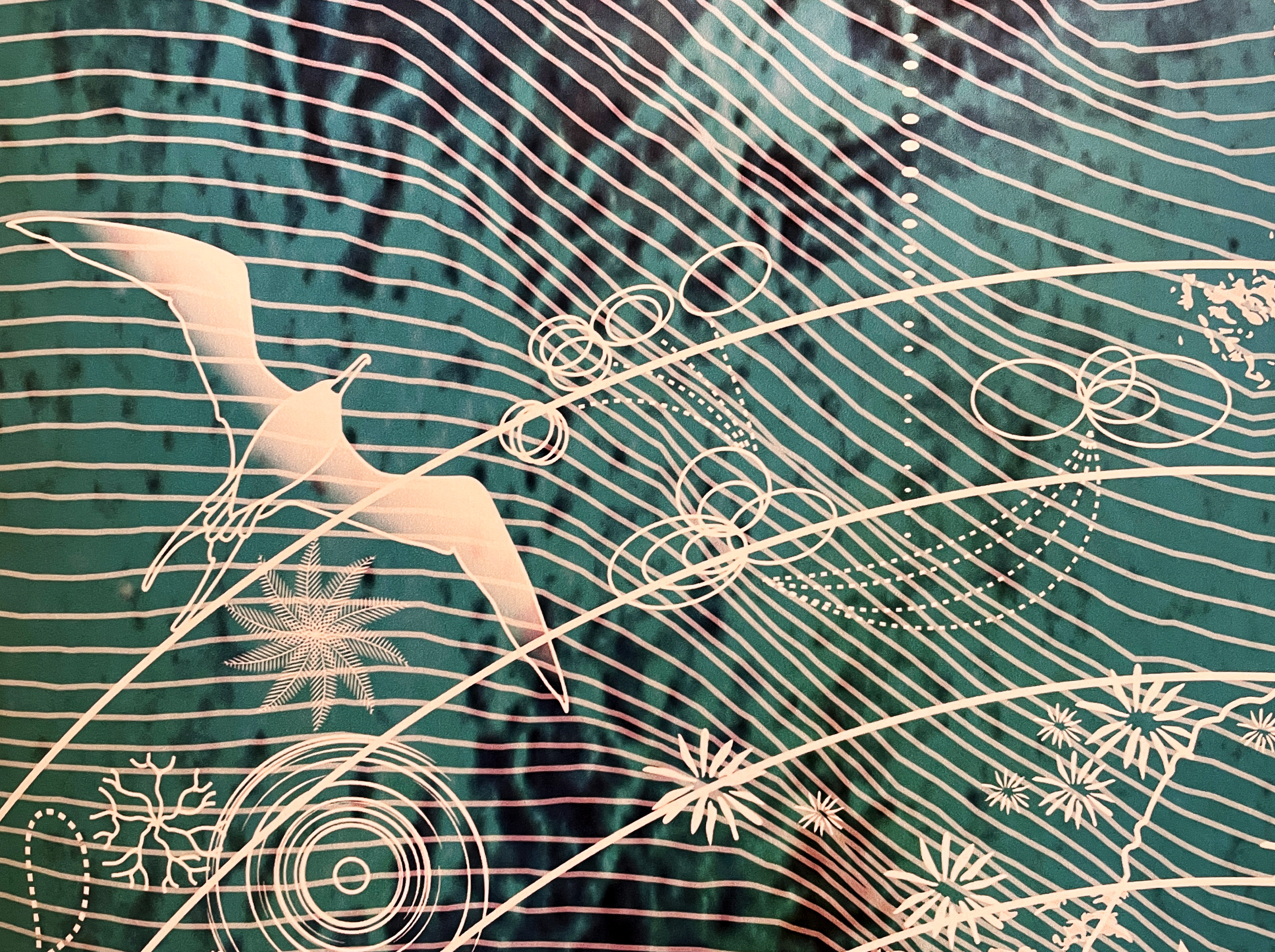 Detail of artwork with drawing of sea bird and marine animals