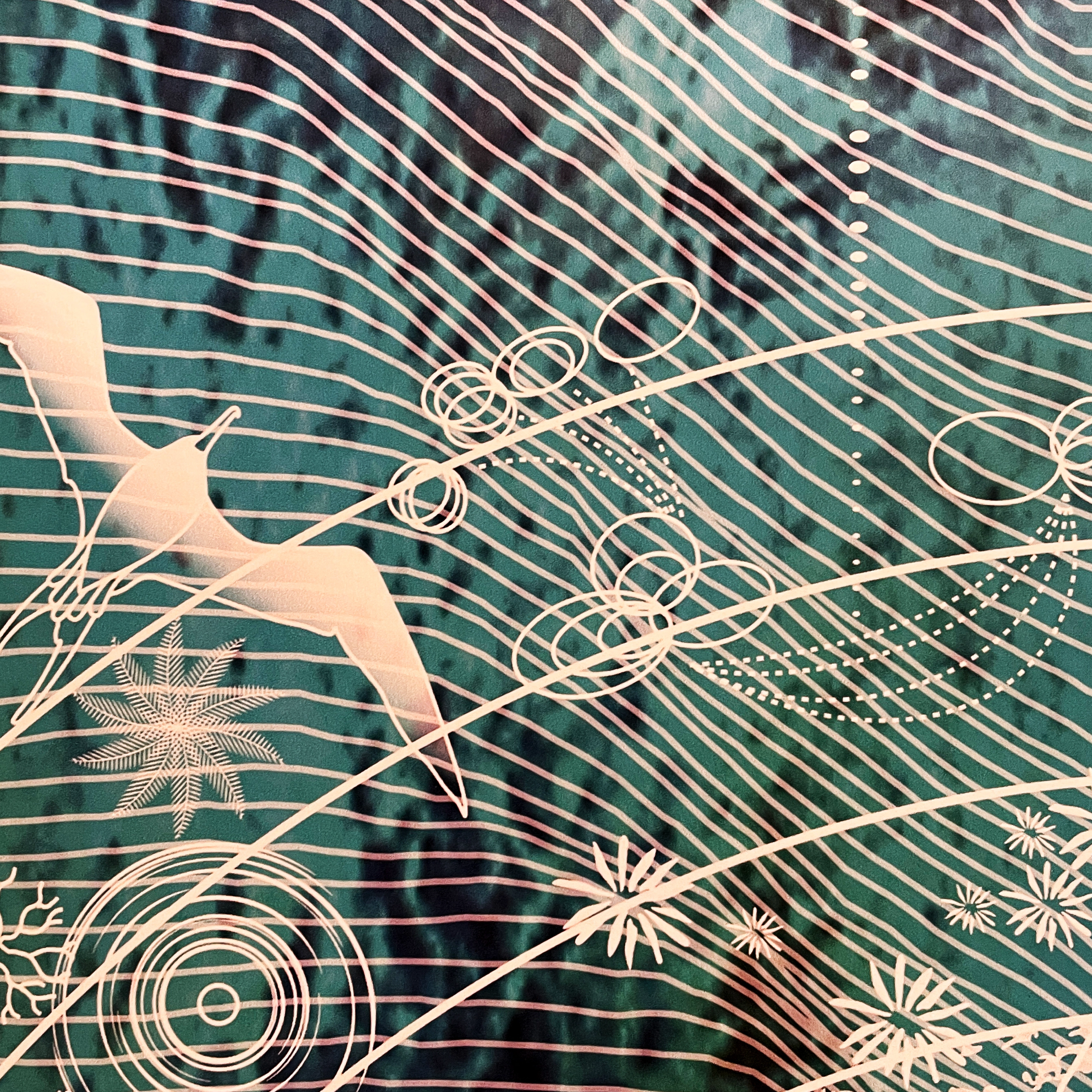 Detail of artwork with drawing of sea bird and marine animals