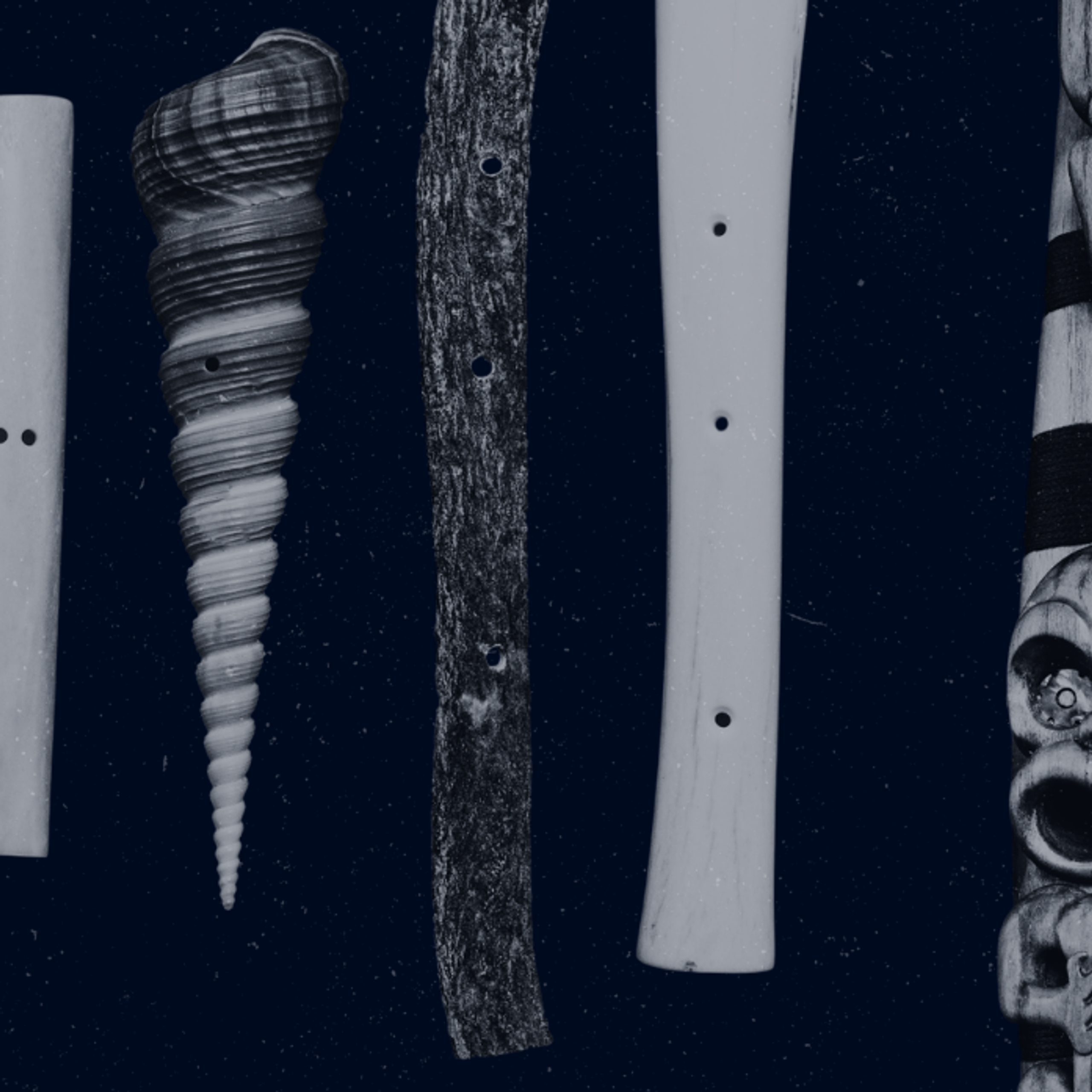 black and white photo showing various musical instruments made of wood, bone, or shell.