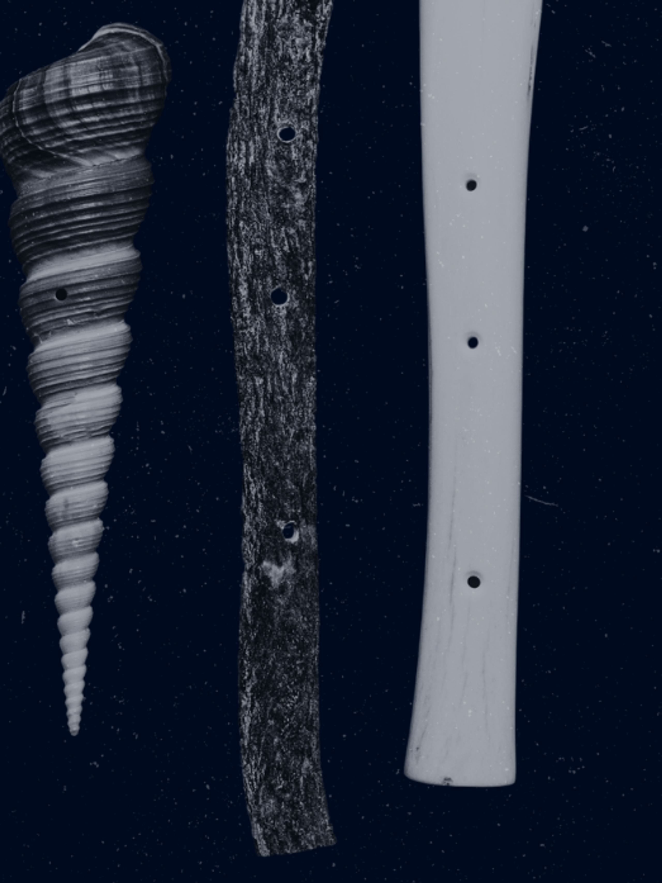 black and white photo showing various musical instruments made of wood, bone, or shell.